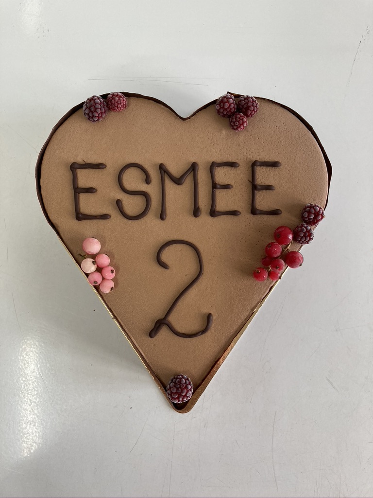 IJstaart vanille - chocolade, chocolade afwerking rondom, fruit bovenop en opschrift 'Esmee 2' bovenop.